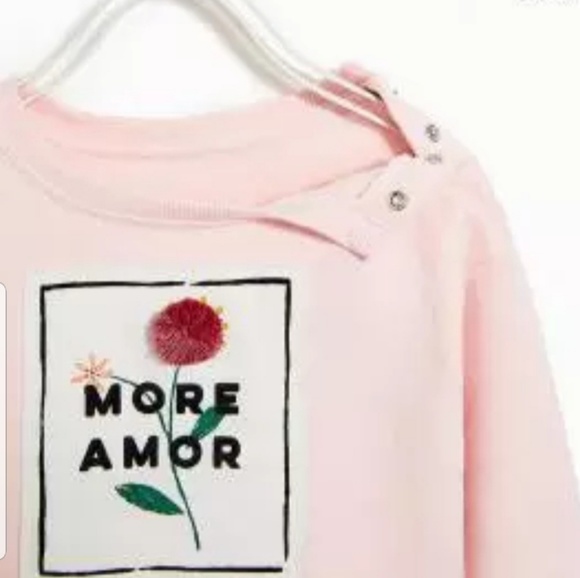 Zara Other - Zara Pink Sweatshirt